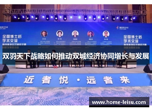 双羽天下战略如何推动双城经济协同增长与发展