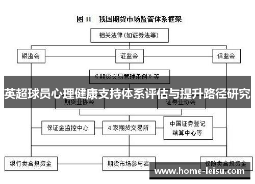 英超球员心理健康支持体系评估与提升路径研究