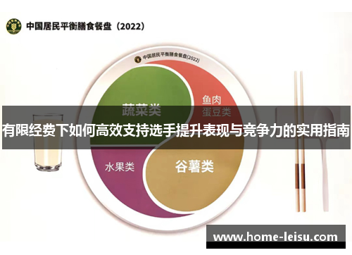 有限经费下如何高效支持选手提升表现与竞争力的实用指南