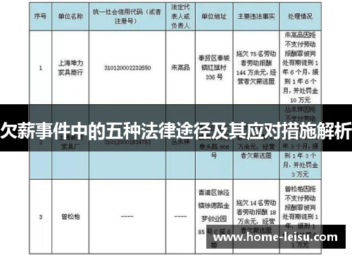 欠薪事件中的五种法律途径及其应对措施解析