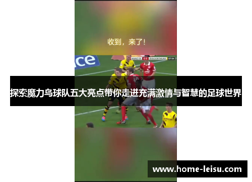 探索魔力鸟球队五大亮点带你走进充满激情与智慧的足球世界