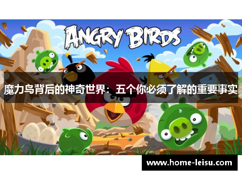 魔力鸟背后的神奇世界：五个你必须了解的重要事实