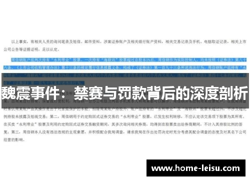 魏震事件：禁赛与罚款背后的深度剖析